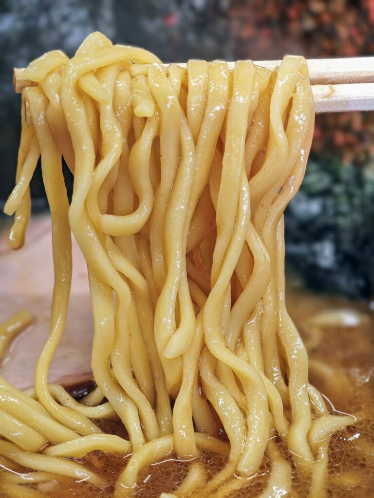 杉田家の麺